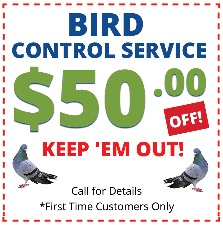 Active Pest Control Birds Coupons